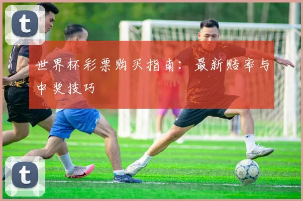 世界杯彩票购买指南：最新赔率与中奖技巧