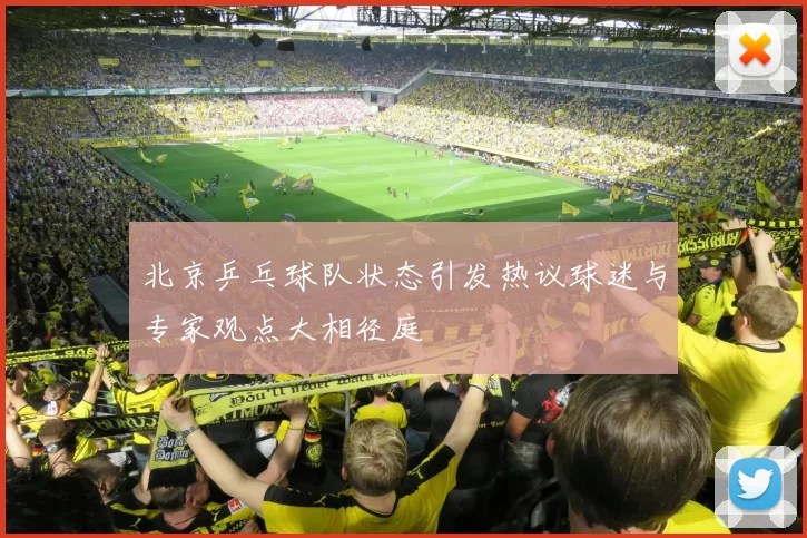 北京乒乓球队状态引发热议球迷与专家观点大相径庭
