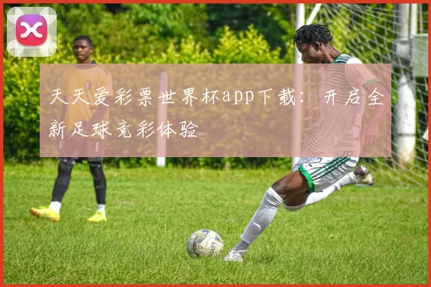 天天爱彩票世界杯app下载：开启全新足球竞彩体验