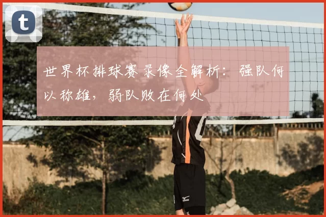 世界杯排球赛录像全解析：强队何以称雄，弱队败在何处