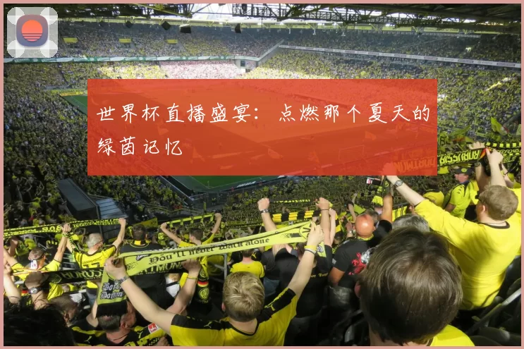 世界杯直播盛宴：点燃那个夏天的绿茵记忆